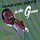 Cover for In the Groove by Marvin Gaye